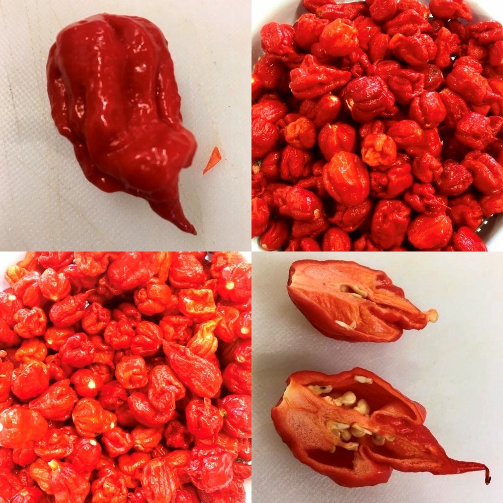 Chilisaus.be - The 2022 Edition "CHOCOLATE SMOKED" (Heat Level 10) - Image 4