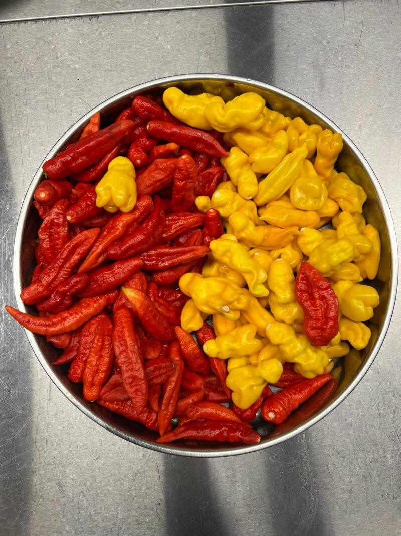 Chilisaus.be - The 2023 Edition - "ASIAN MANGO" (Heat Level 10) - Image 2