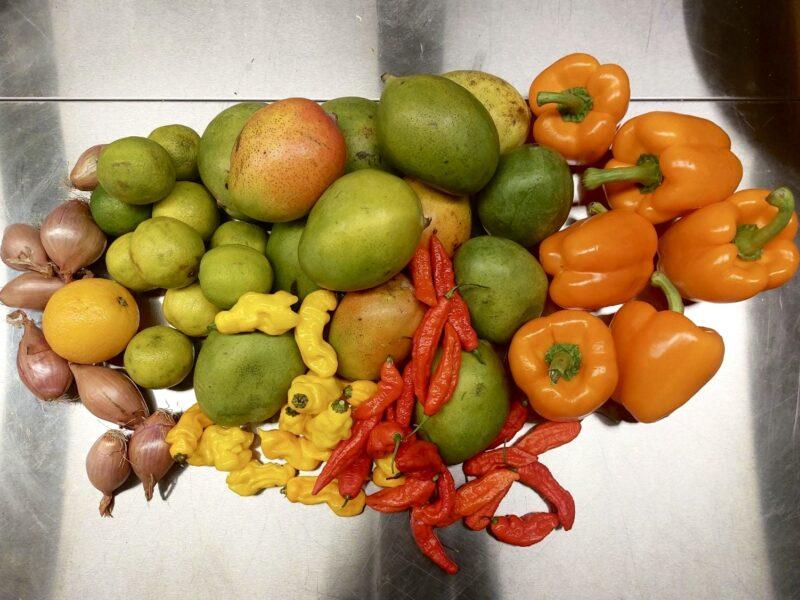 Chilisaus.be - The 2023 Edition - "ASIAN MANGO" (Heat Level 10) - Image 3