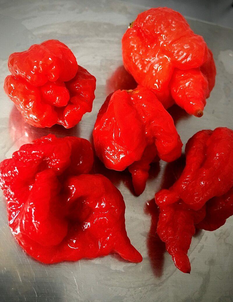 Chilisaus.be - Limited Edition Range - Hurtberry Ghost Sriracha (Heat Level 10) - Image 2