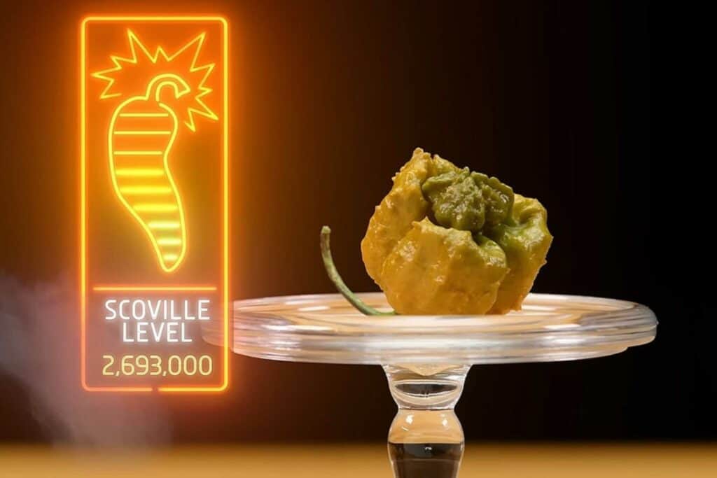 High River Sauces - Pepper X - Taco Sauce (Heat Level 15) 148ml - Image 2